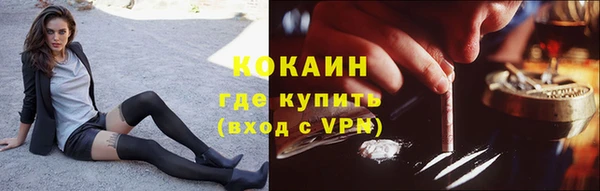 гидра Киренск