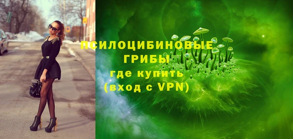 гидра Киренск