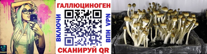 Псилоцибиновые грибы прущие грибы  Купить  Рошаль 