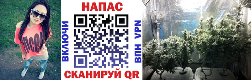 Купить где  Рошаль  МАРИХУАНА Bruce Banner 